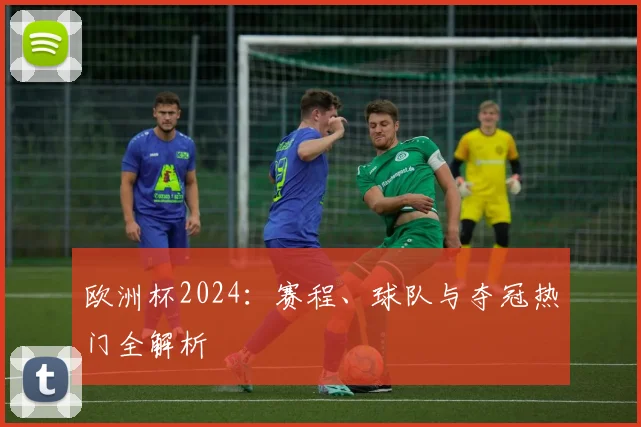 欧洲杯2024:赛程、球队与夺冠热门全解析